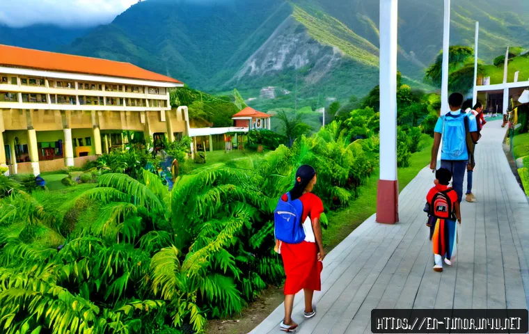 Applying to University in Timor-Leste: Entry Steps, Documents, Costs, and School Selection 3 동티모르 대학 입학 방법 관련 이미지 1